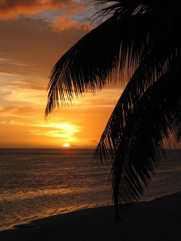 Motu Beachfront Art Villas Rarotonga Ruang foto