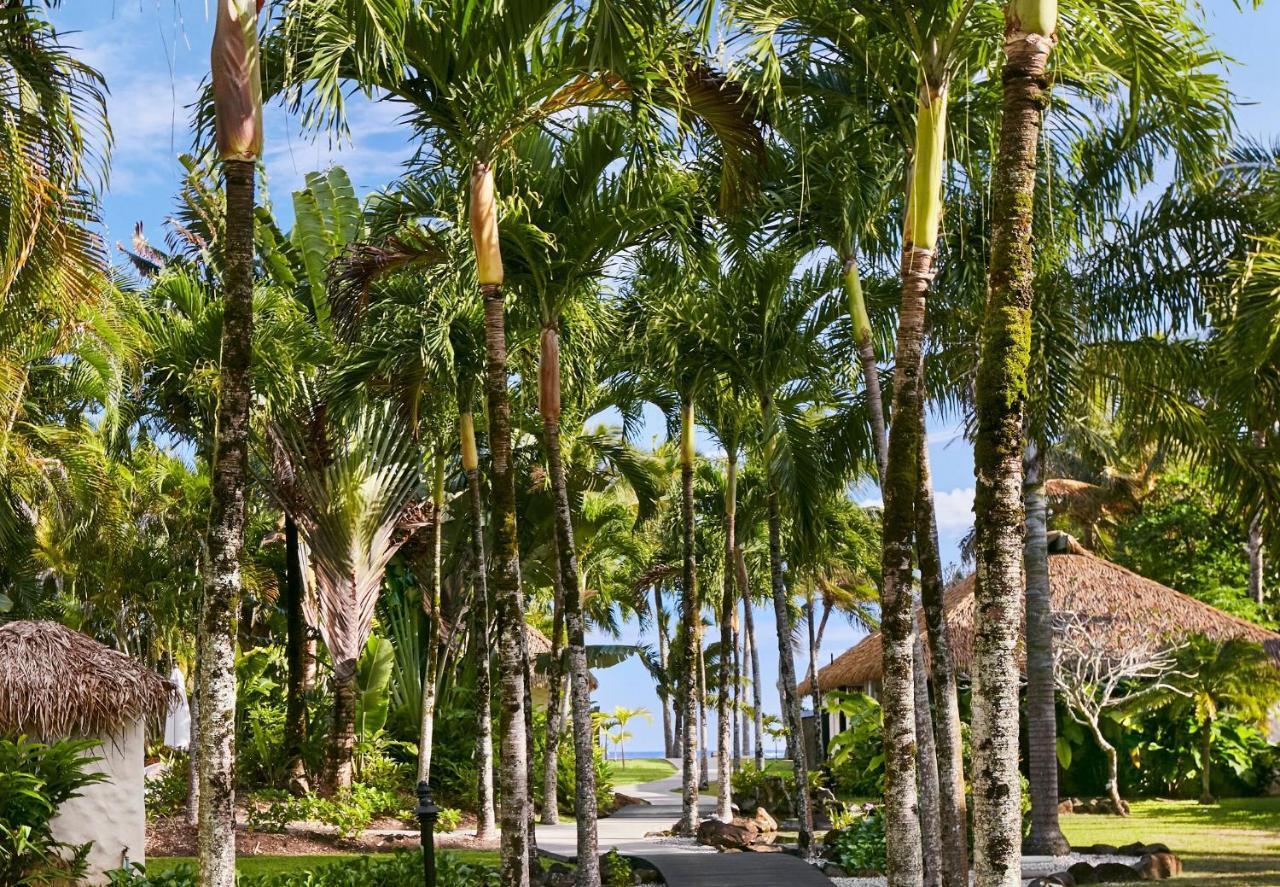 Motu Beachfront Art Villas Rarotonga Bagian luar foto